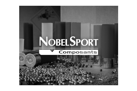 Nobel-sport